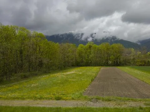 Green fields and forests and a mountain in the fog Foto stock
