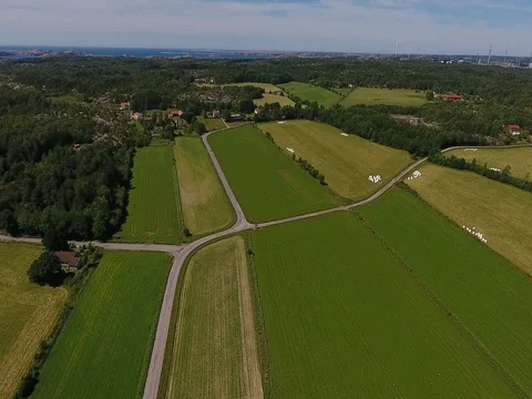Green fields and forrest Stock Footage