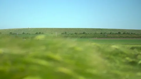 Green Fields and Grass Pan 4K Stock Footage 82161942