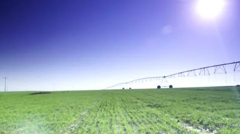 Green fields and irrigation device 스톡 동영상 10723102