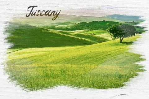Green fields and lonely tree in Tuscany, watercolor painting Stock Illustration