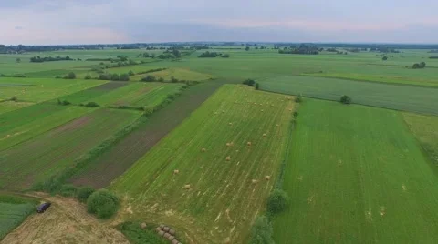 Green fields and meadows in the spring in Europe. Aerial footage Stock Footage 62059934