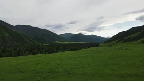 Green Fields and mountains in cloudy weather, drone video. Stock Footage 245135246