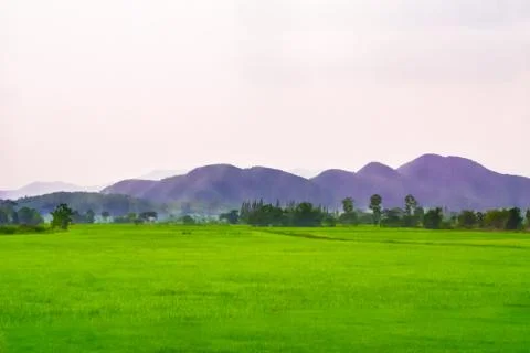 Green fields and mountains. Stock Photos