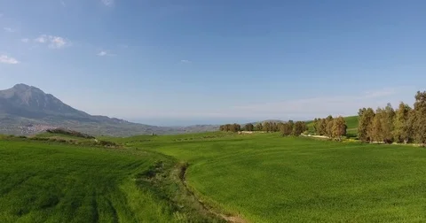 Green fields and muntain green and blue Stock Footage 76083940