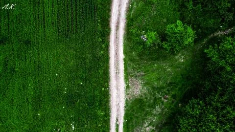 Green fields and the road 스톡 사진