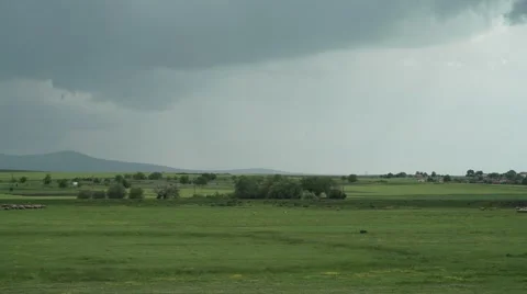 Green Fields and Sheep Timelapse 4K Stock Footage 63557228