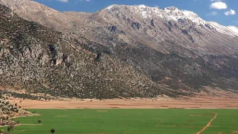 Green fields and snowy peaks in Bey Mountains - Field Valley and Foothill Farms Stock Footage 339561664