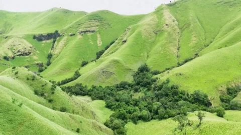 Green fields and softly sloping hills under a serene sky, rural peacefulness Stock Footage 306273406
