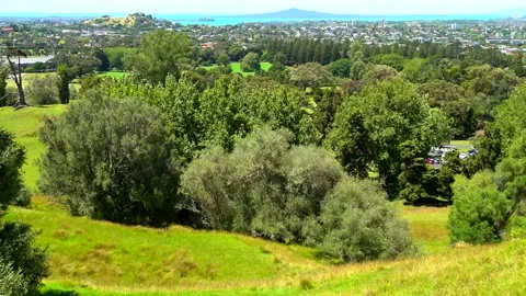 Green fields and trees with the city in the background Stock Footage 132101450