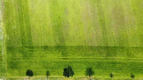 Green fields and trees Landscape Stock Photos