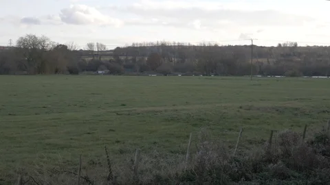 Green fields and trees with a small flowing river Stock Footage 94739966
