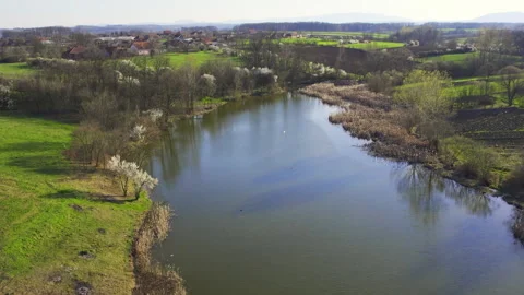 Green fields and trees surrounding clear blue lake viewed from above Video stock 262741366