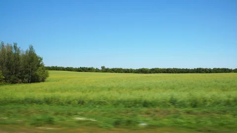 Green Fields And Trees View From A Moving Car Stock Footage 112275158