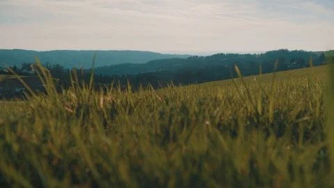 Green Fields in Austrian Countryside on a Summer day | HD Stock Footage 88466039
