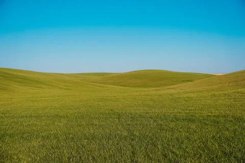Green fields on the background of the blue sky. Stockfoto's