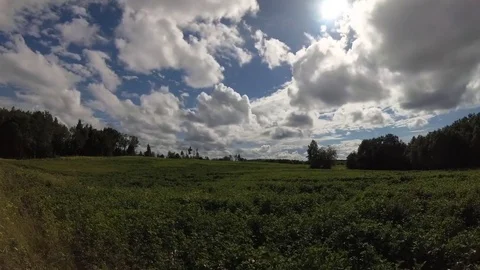 Green fields with big clouds Stock Footage 77335677