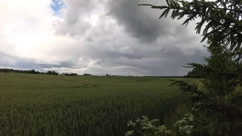 Green fields with big clouds Stock Footage 77335773