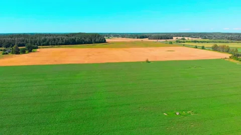 Green fields birds eye view Stock Footage 212139092