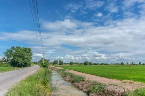 Green fields with blue sky Stock Photos