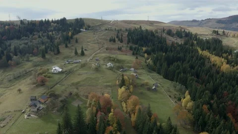 Green fields in the Carpathian Mountains Stock Footage 165165582