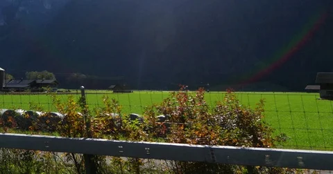 Green fields, Cinema 4k view driving on a alpine road, between fields full of Stock Footage 83090979