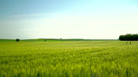 Green Fields Contract 4K Stock Footage 82162229