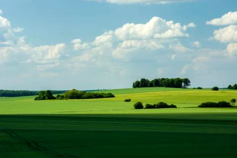 Green fields, copses and clouds in the sky Stock Photos