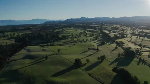 Green fields in the countryside from above Stock Footage 242881902