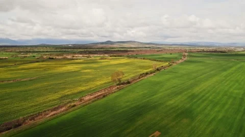 Green Fields Crops Agriculture Forward Slow Drone Aerial Clouds Rain Moisture Stock Footage 235596619