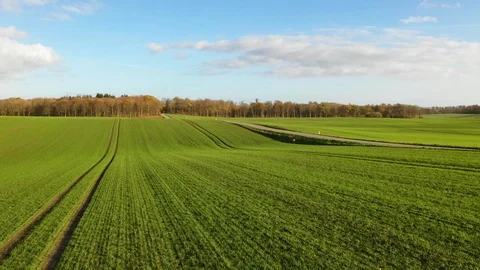 Green fields in Denmark during fall Stock Footage 103214202