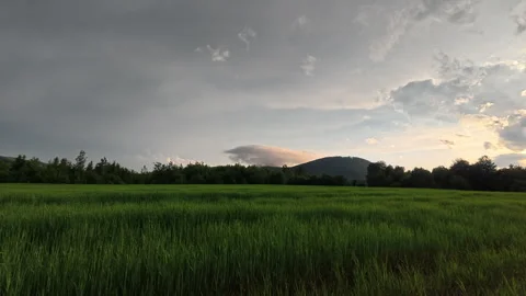 Green fields during amazing sunset in beautiful mountains at early summer time Stock Footage 331564626