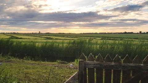 Green fields in the evening with purple clouds far horizont Foto stock