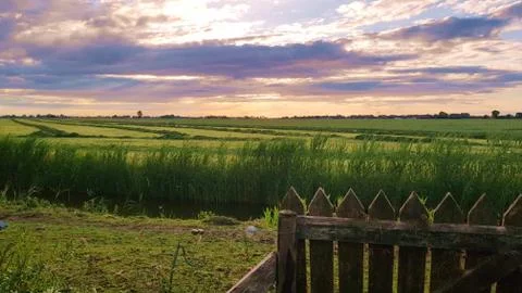 Green fields in the evening with purple clouds far horizont Foto stock