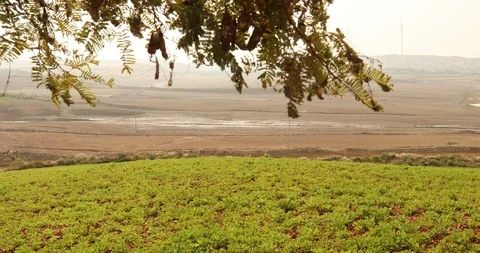 Green Fields Stock Footage 86793836