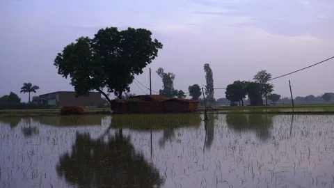 Green fields Stock Footage 105394639