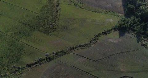 Green Fields Stock Footage 124858652