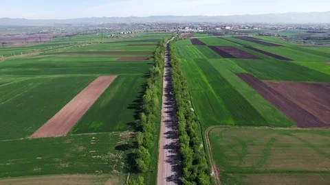 Green fields Stock Footage 129623387