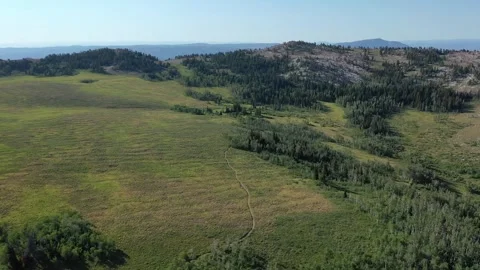 Green fields 動画素材 296795282