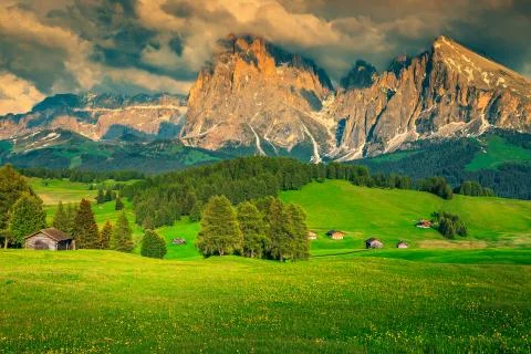 Green fields with forest and high mountains at sunset, Dolomites Stock Photos