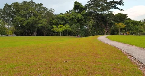 Green Fields of Garden Scenery Stock Footage 158492531