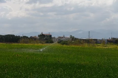 Green fields glisten under the cloudy sky while irrigation brings life to t.. Stock Photos