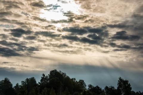 Green fields, green meadows, trees, forests and cloudy sky Stock-Fotos