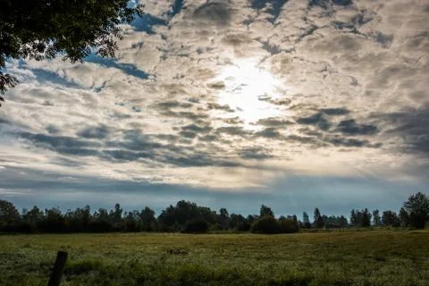 Green fields, green meadows, trees, forests and cloudy sky 库存照片