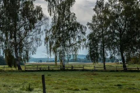 Green fields, green meadows, trees, forests and cloudy sky Stock-Fotos