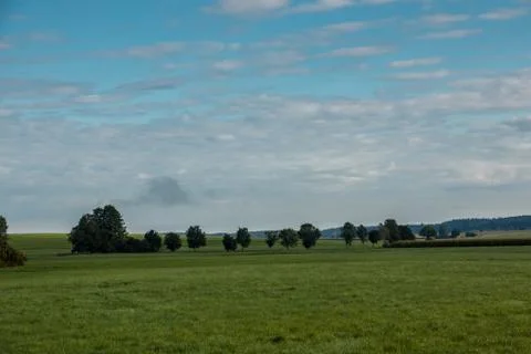 Green fields, green meadows, trees, forests and cloudy sky Фото