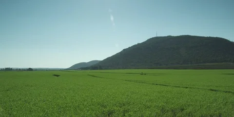Green fields to the horizon Stock Footage 112957877