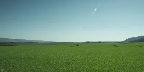 Green fields to the horizon Stock Footage 112958448