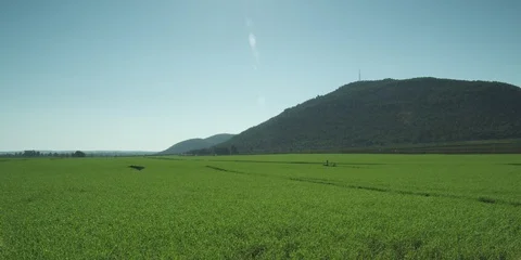 Green fields to the horizon 스톡 동영상 112958673