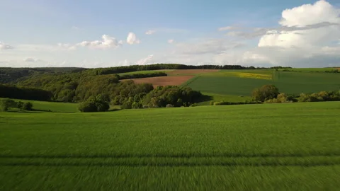 Green fields landscape forest 스톡 동영상 156368768